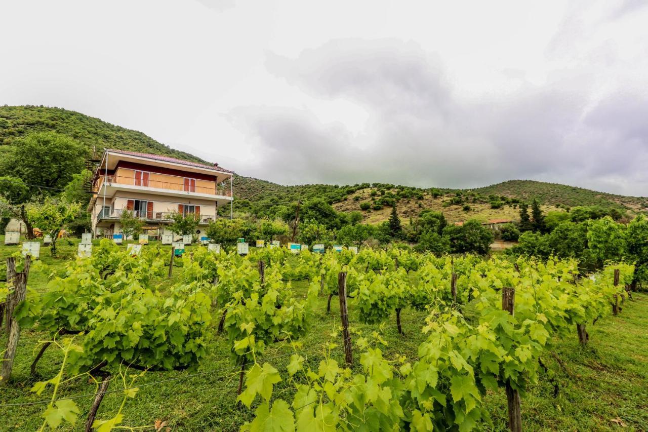 Country Home Genesi 20 Min From Trikala المظهر الخارجي الصورة