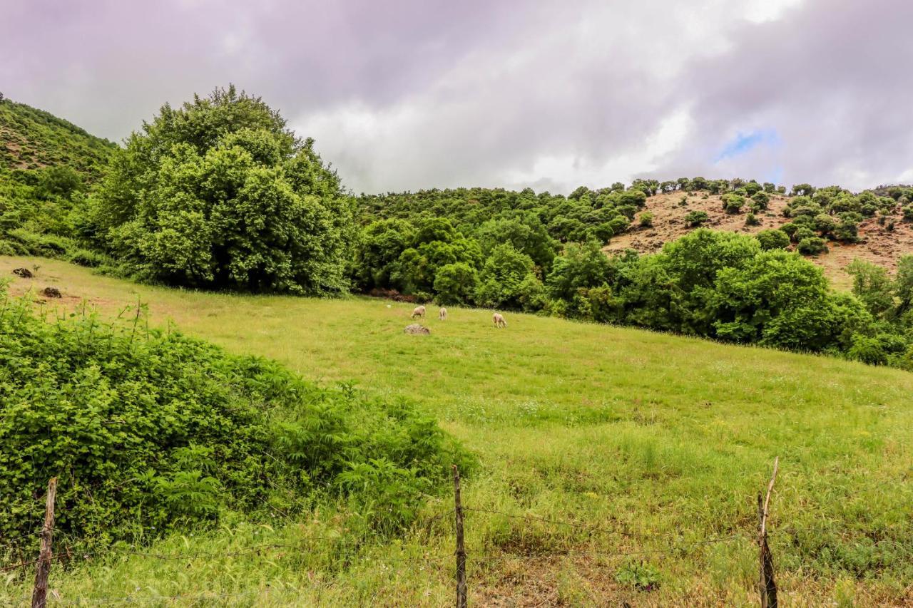 Country Home Genesi 20 Min From Trikala المظهر الخارجي الصورة