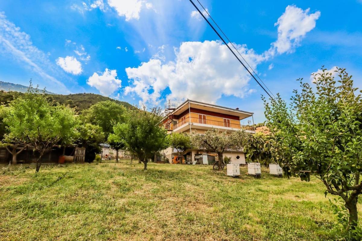 Country Home Genesi 20 Min From Trikala المظهر الخارجي الصورة