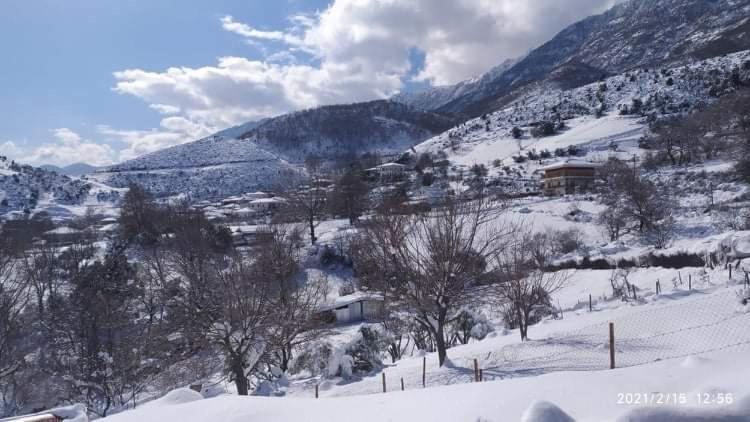 Country Home Genesi 20 Min From Trikala المظهر الخارجي الصورة
