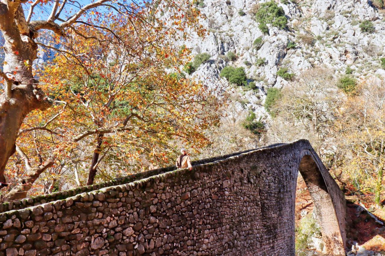 Country Home Genesi 20 Min From Trikala المظهر الخارجي الصورة