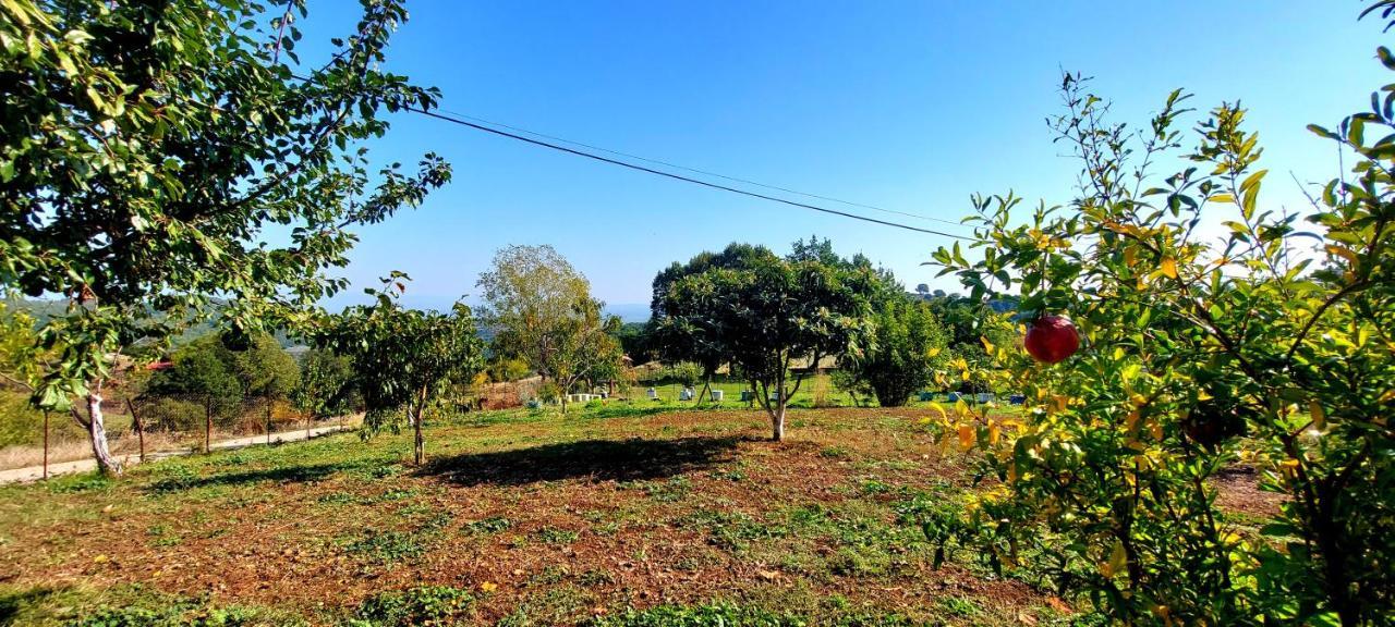 Country Home Genesi 20 Min From Trikala المظهر الخارجي الصورة