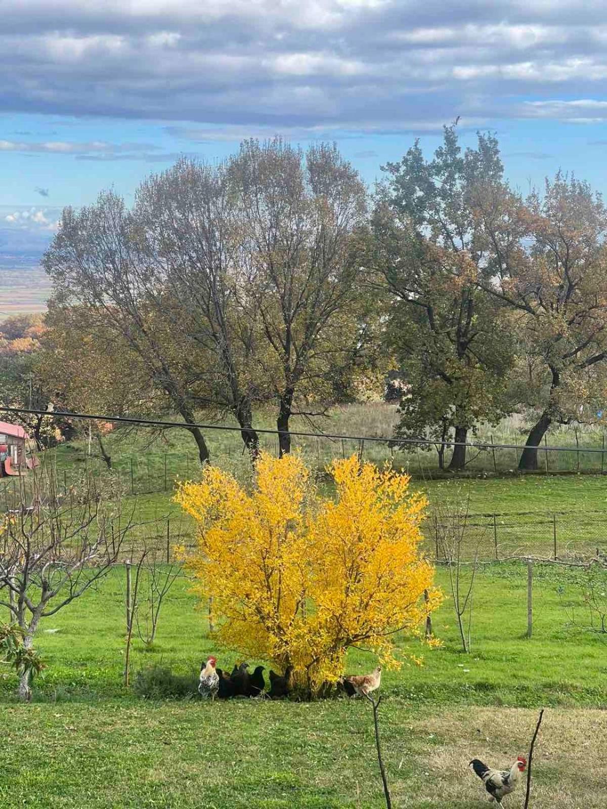 Country Home Genesi 20 Min From Trikala المظهر الخارجي الصورة