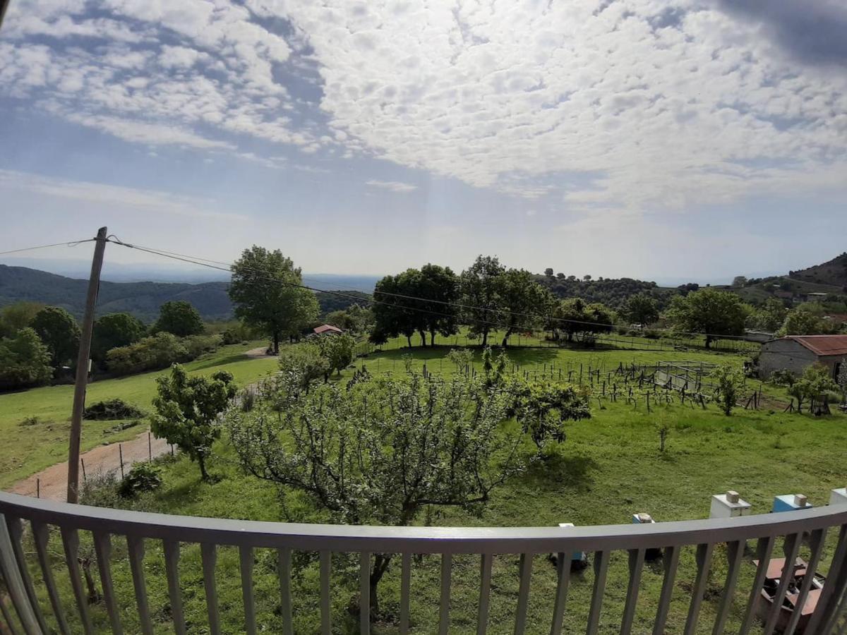 Country Home Genesi 20 Min From Trikala المظهر الخارجي الصورة