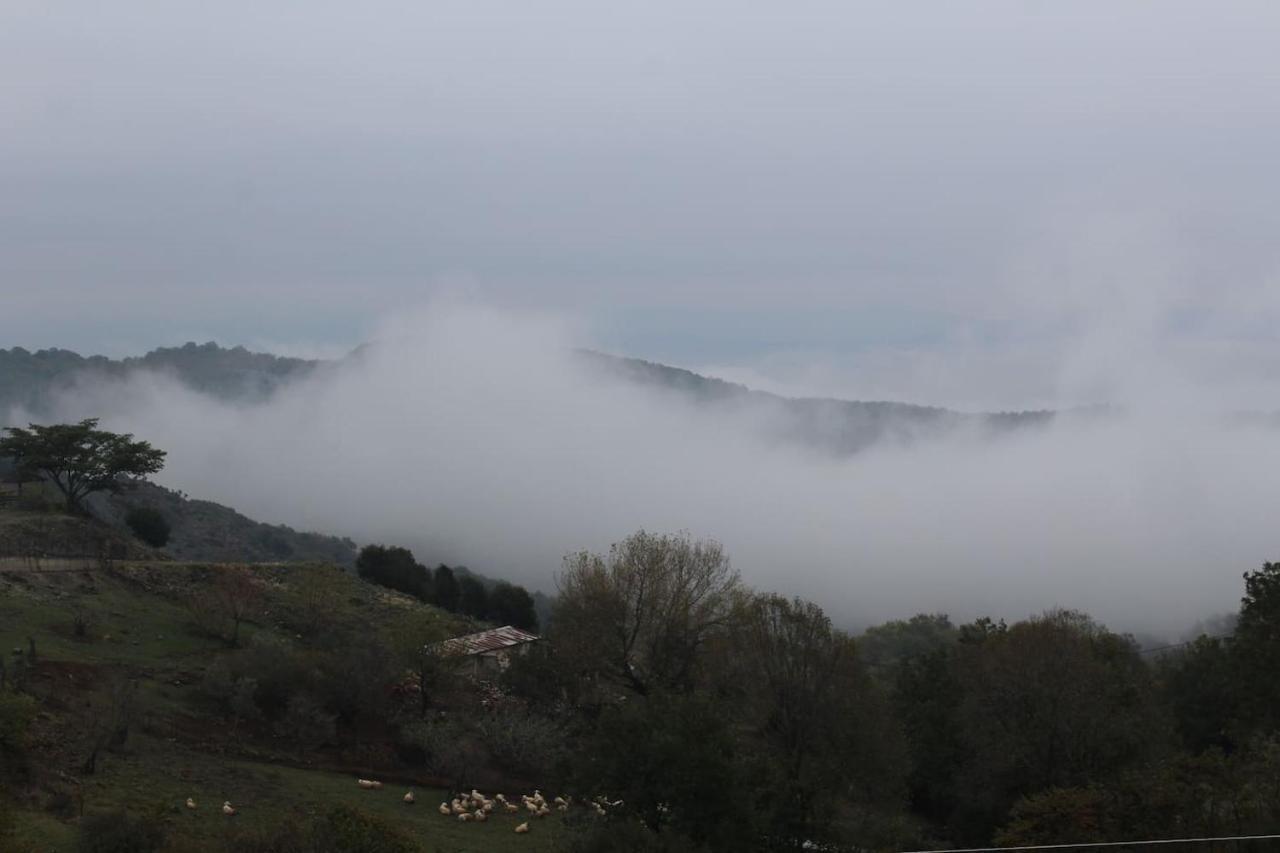 Country Home Genesi 20 Min From Trikala المظهر الخارجي الصورة