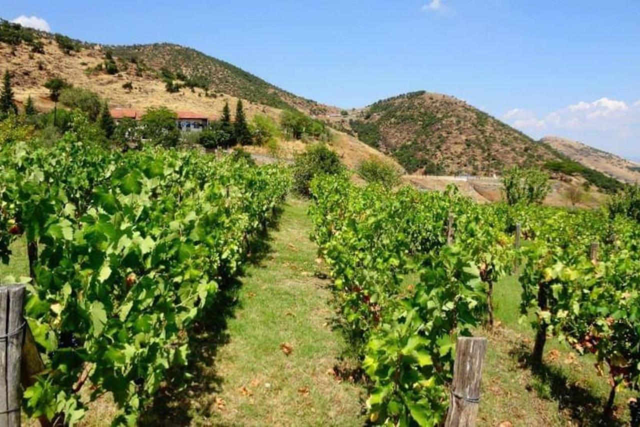 Country Home Genesi 20 Min From Trikala المظهر الخارجي الصورة