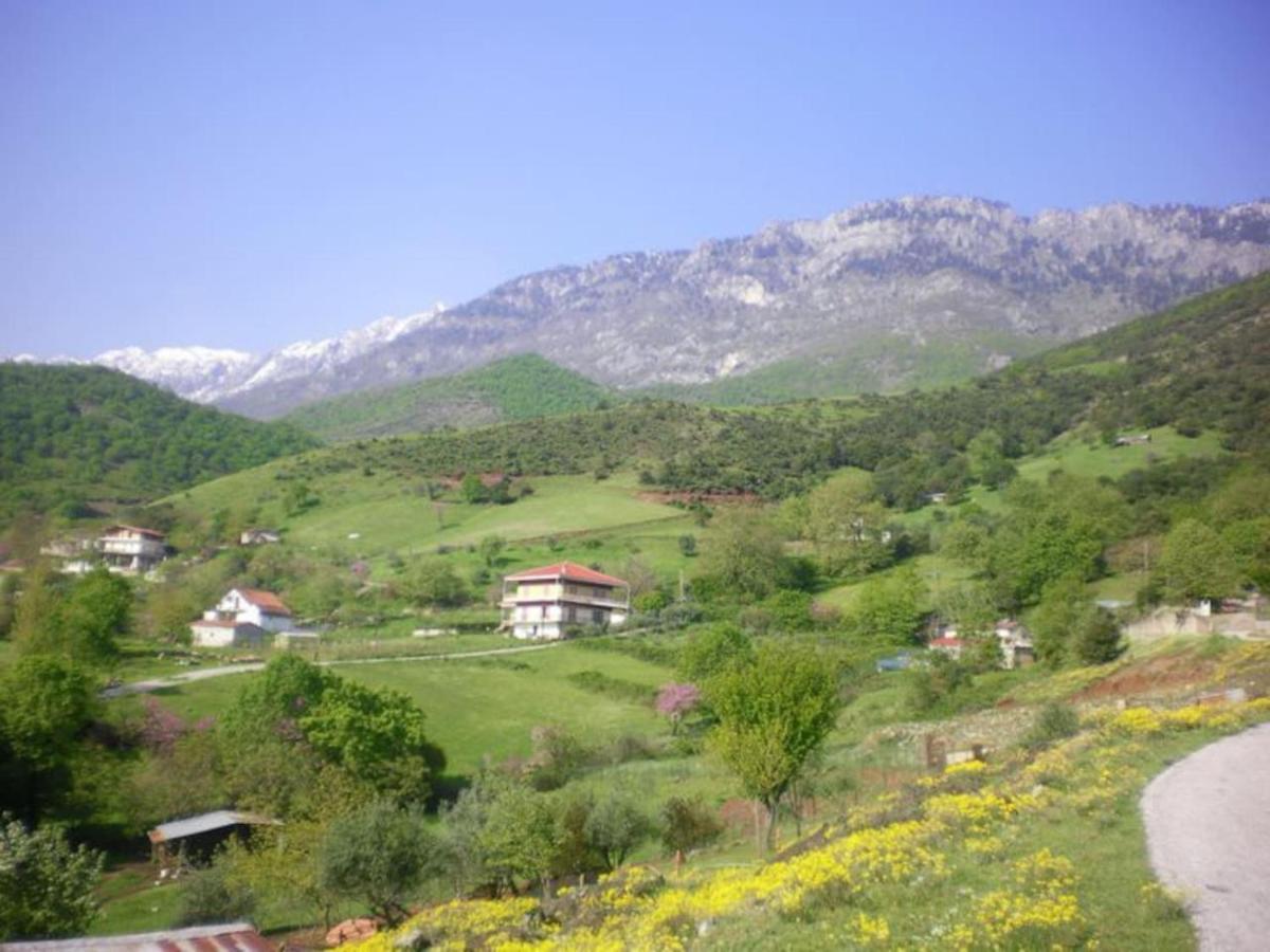 Country Home Genesi 20 Min From Trikala المظهر الخارجي الصورة