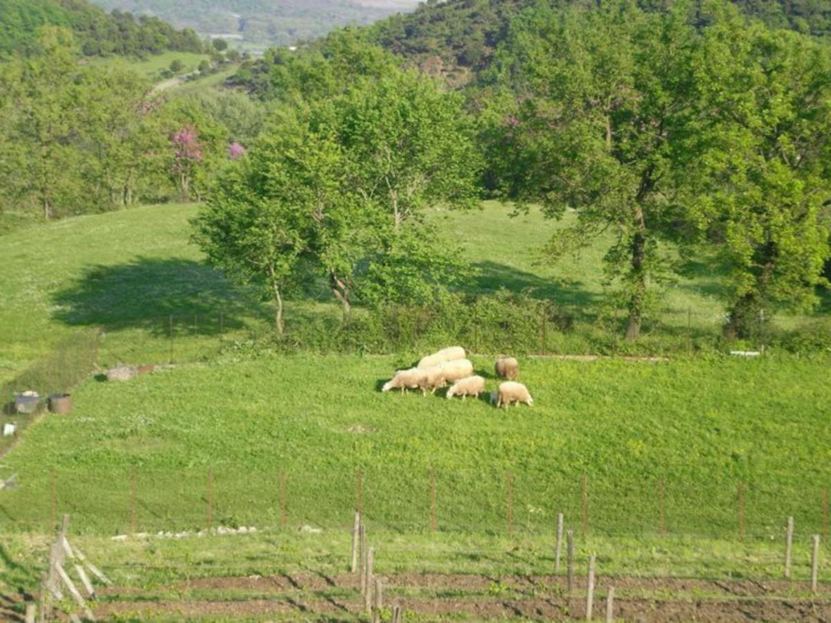 Country Home Genesi 20 Min From Trikala المظهر الخارجي الصورة