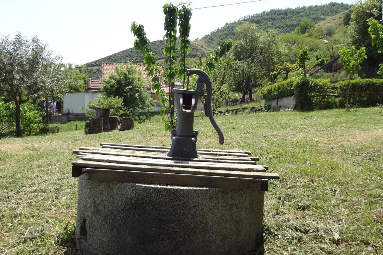Country Home Genesi 20 Min From Trikala المظهر الخارجي الصورة