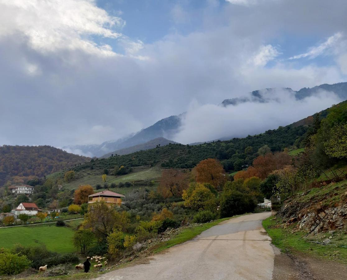 Country Home Genesi 20 Min From Trikala المظهر الخارجي الصورة